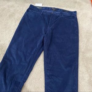 Banana Republic traveler pant